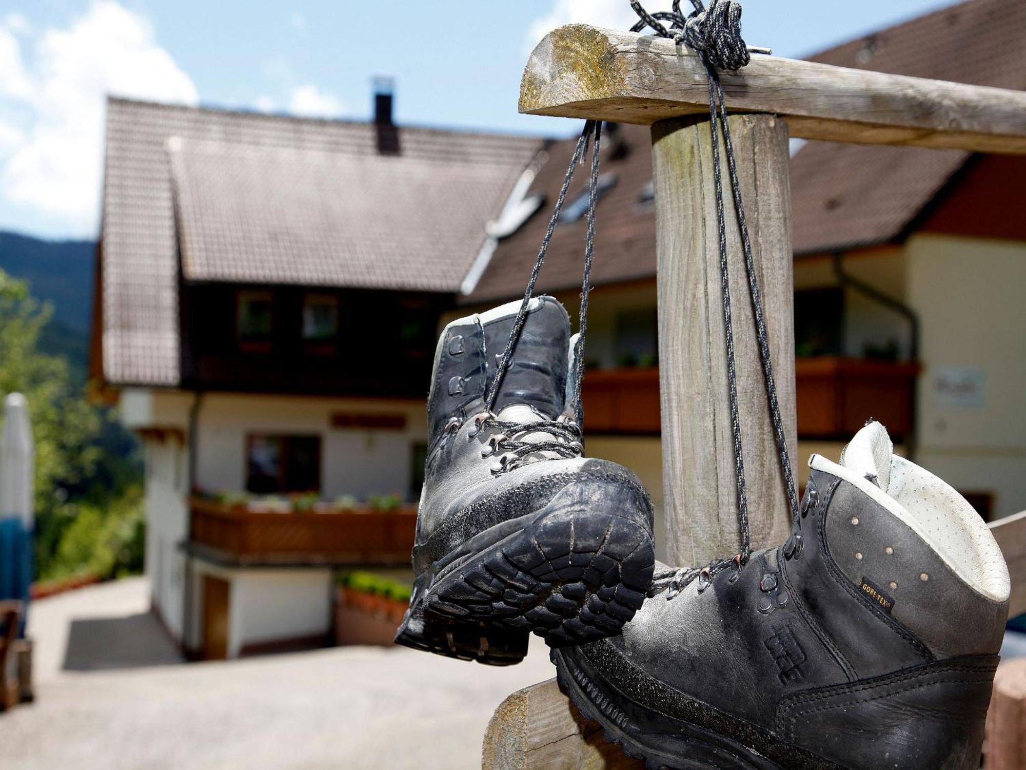 Paradies Im Schwarzwald Bad Peterstal-Griesbach Ngoại thất bức ảnh